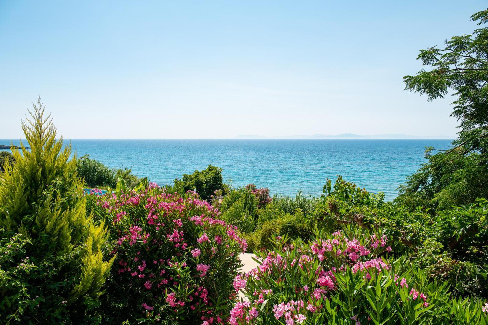 Mare Dei Suites Hotel Ionian Resort Скафидия Екстериор снимка